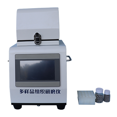 高通量研磨機(jī)XY-48